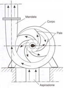 Schema pompa centrifuga