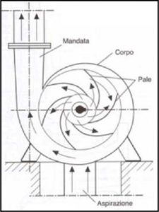 Schema pompa centrifuga