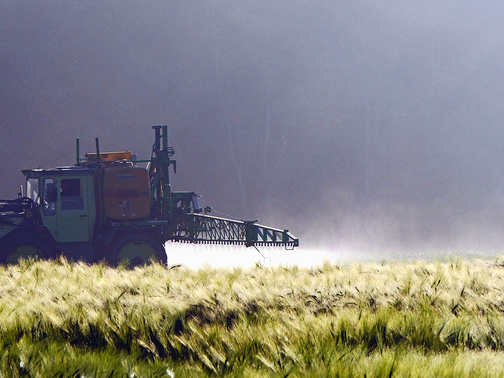 fertilizzazione campi di grano