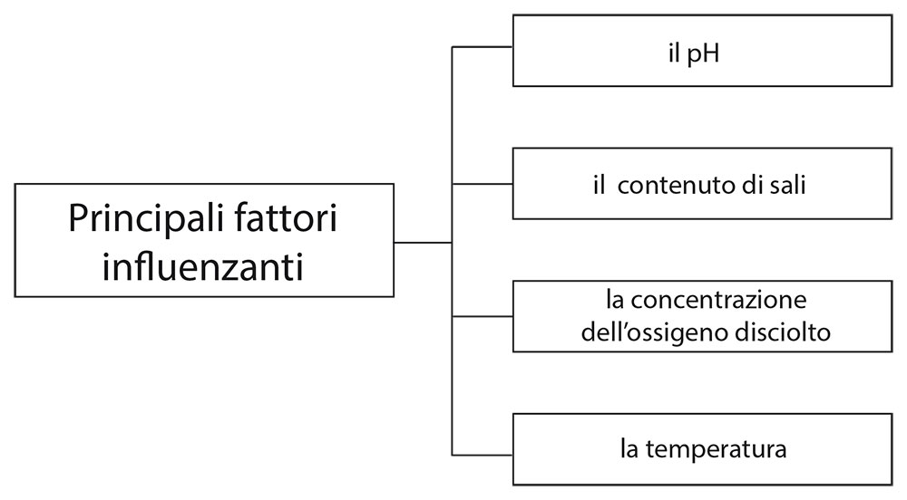 fattori influnzanti fenomeno corrosivo metalli