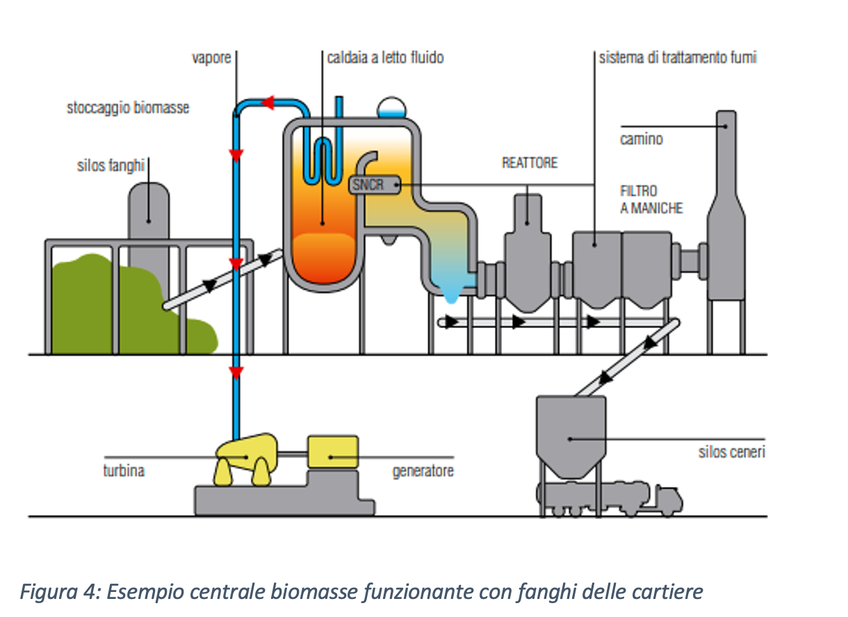 Biomasse con fanghi cartiere