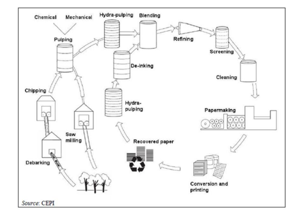 Ciclo produttivo cartiera Produzione della carta
