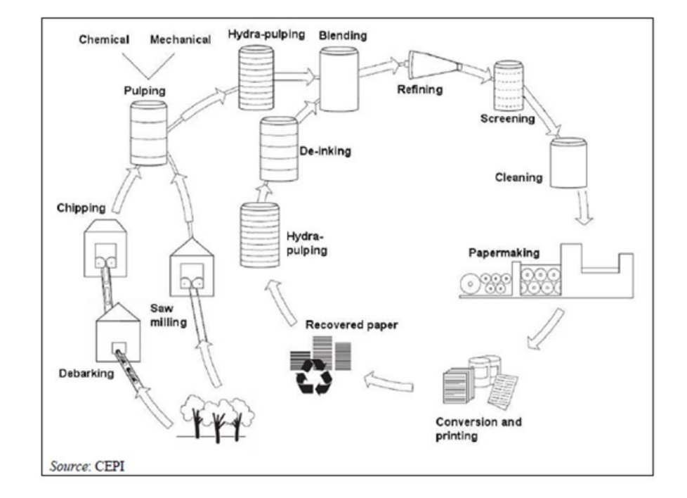 Produzione della carta