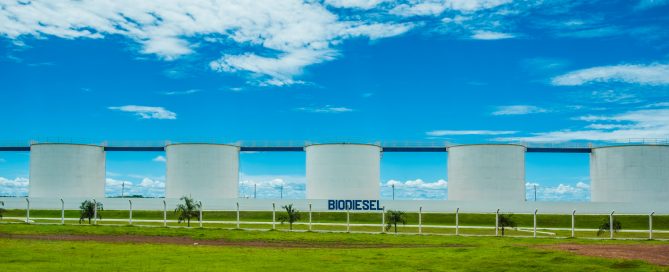 Produzione bioediesel